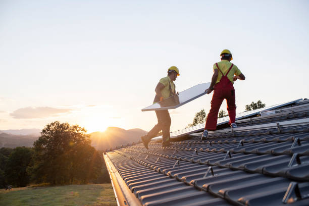 Best Skylight Installation and Repair  in Belmont, MS